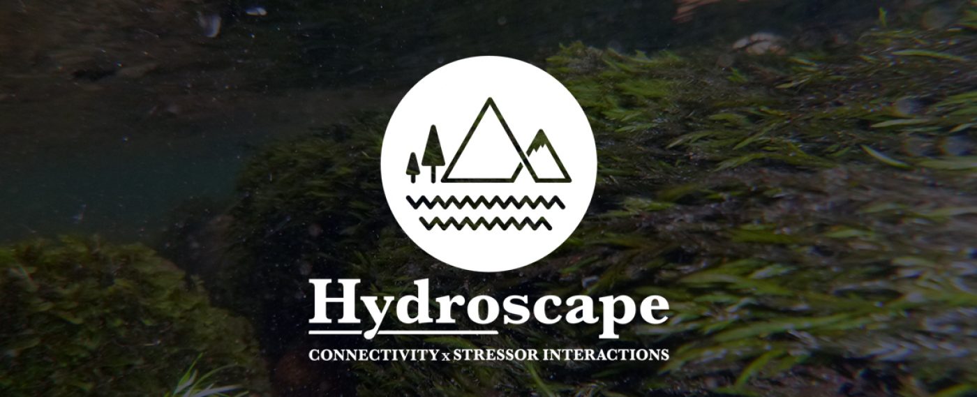 Hydroscape